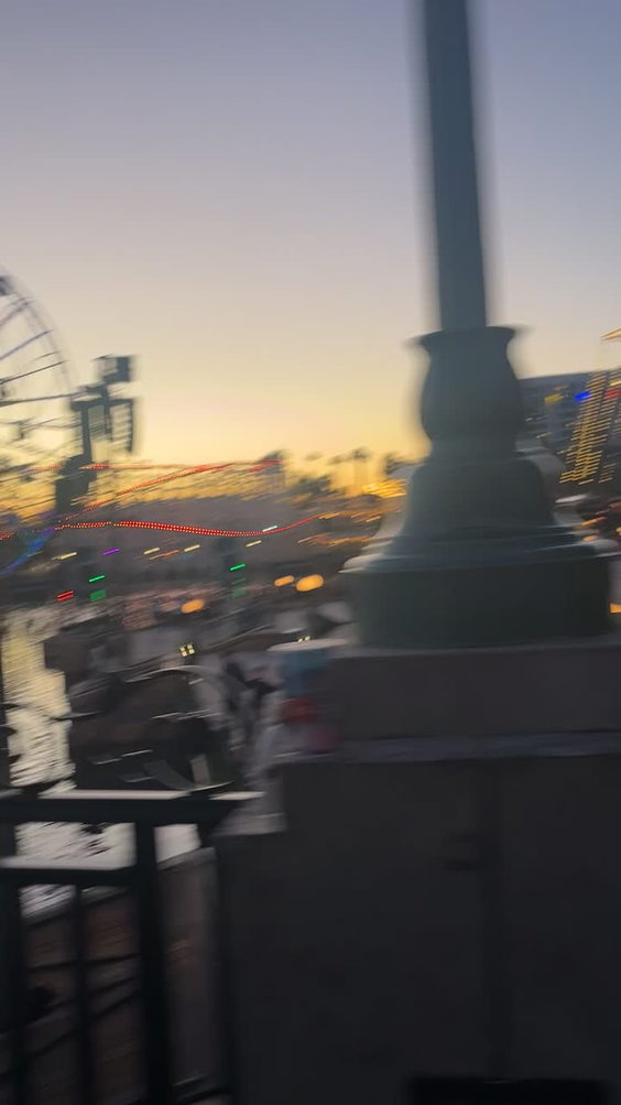 Disneyland Park