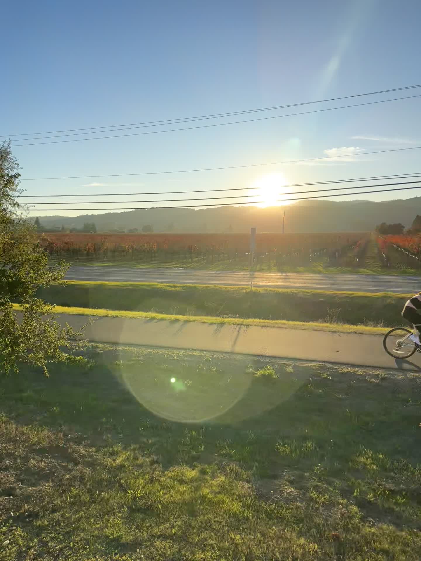 Napa valley Wine Train