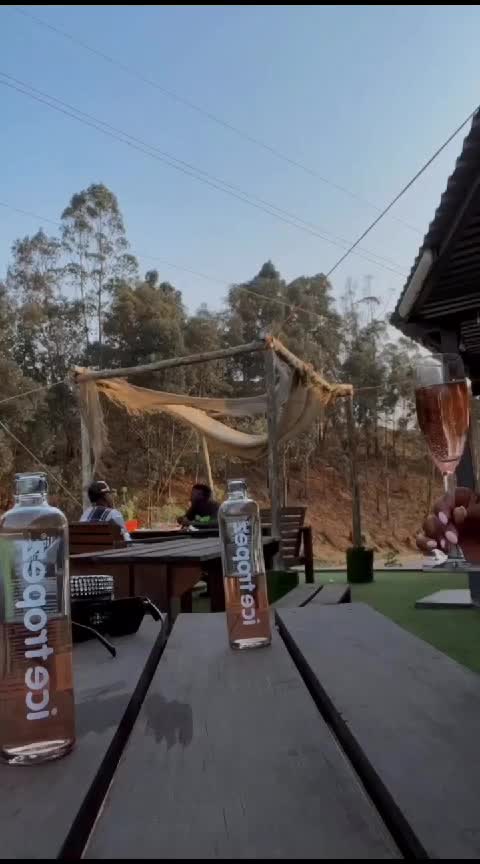 The Food nut