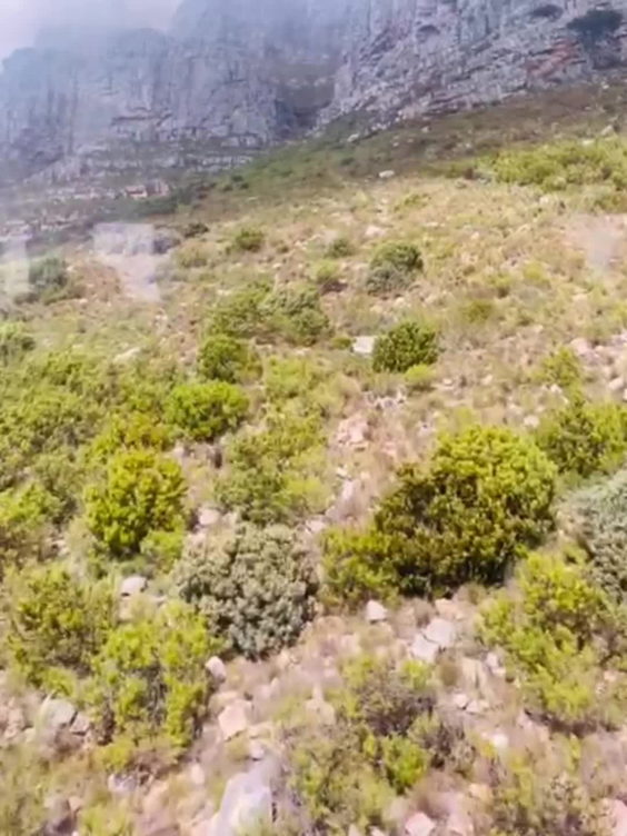 CapeTown - Table Mountain