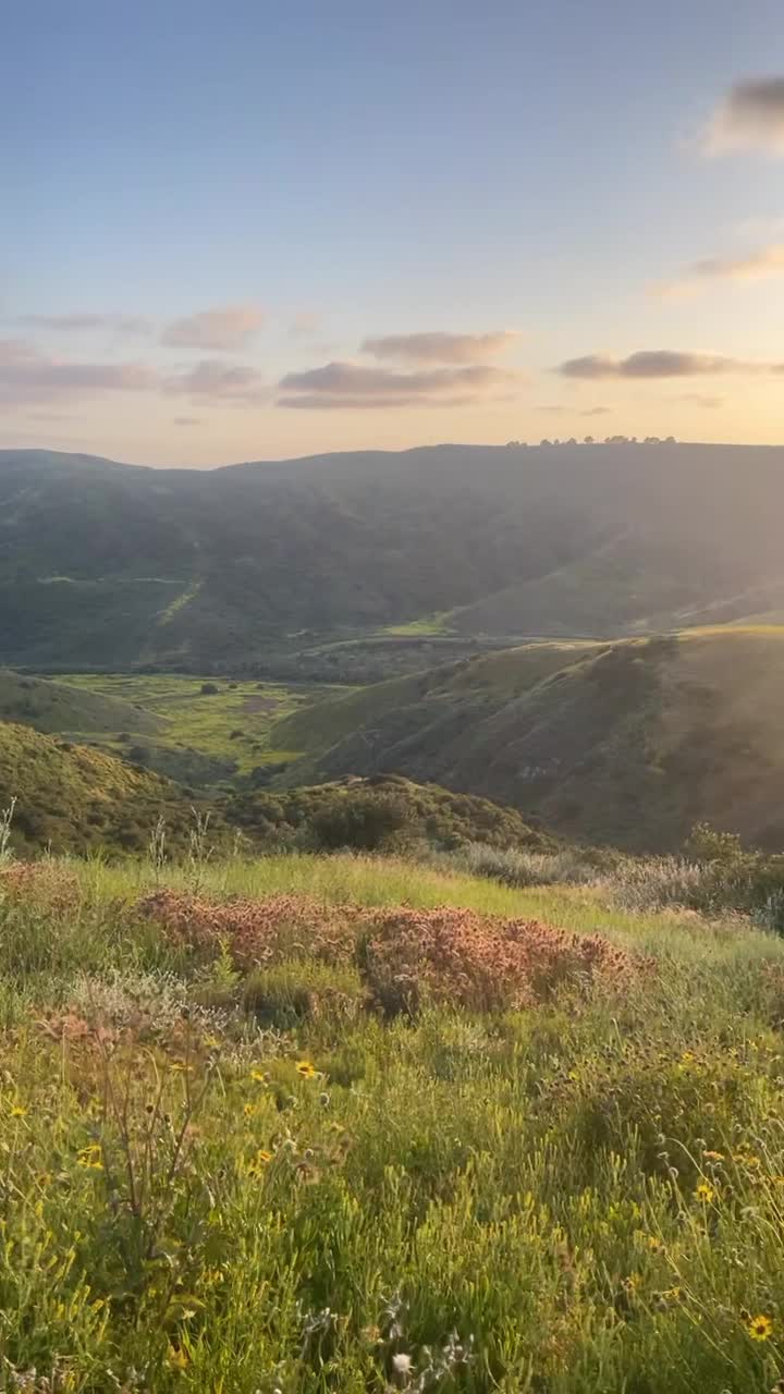 Aliso Summit Hiking Trail