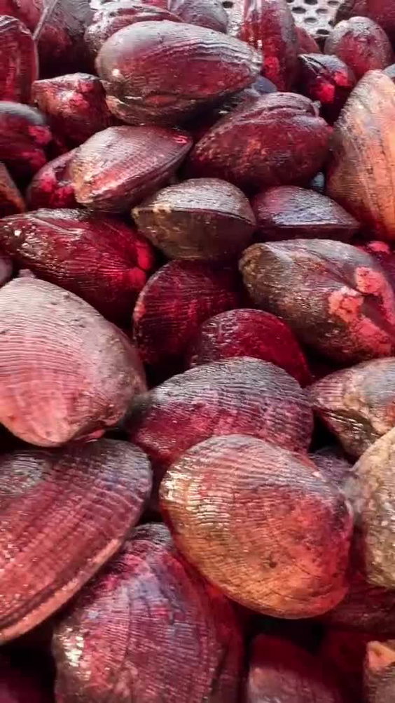 Tomales Bay Oyster Company