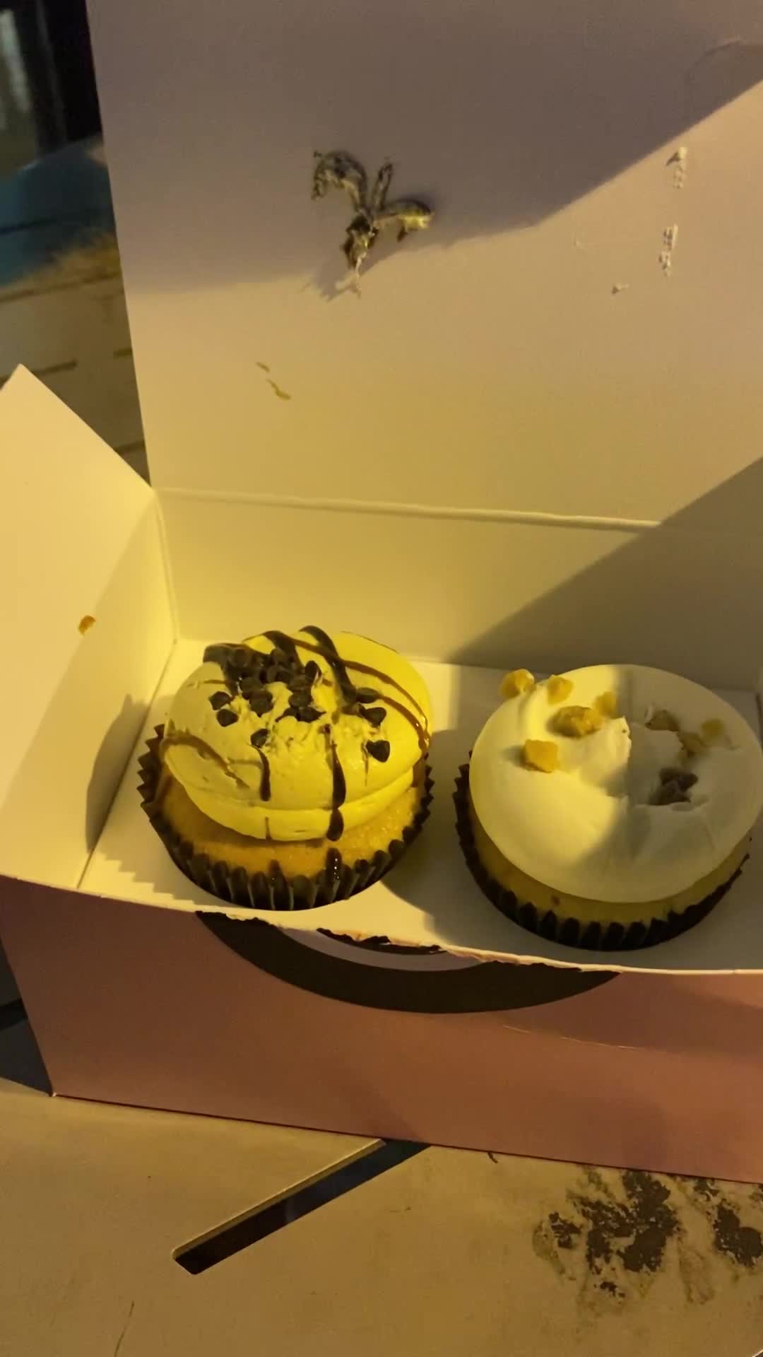 Georgetown Cupcake