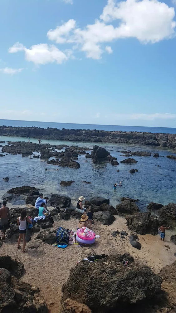 Shark's Cove
