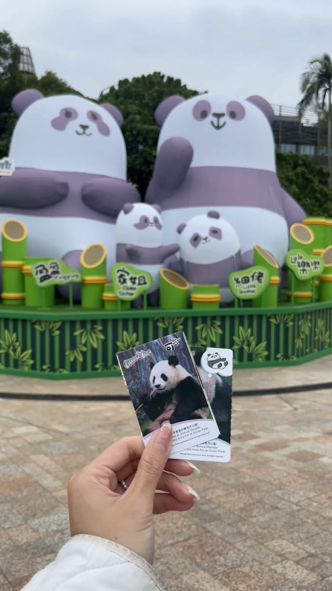 Video review of Giant Panda Adventure (大熊貓之旅)