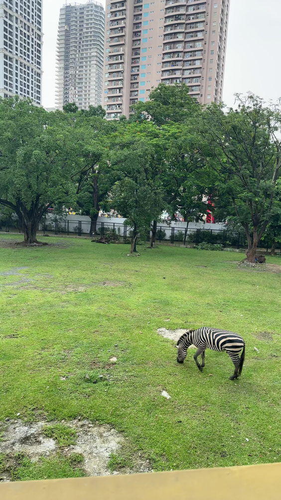Manila Zoo