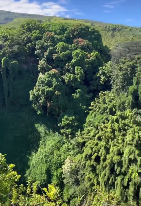 Waimoku Falls