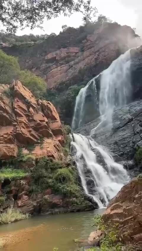 Walter Sisulu Nation Botanical Gardens