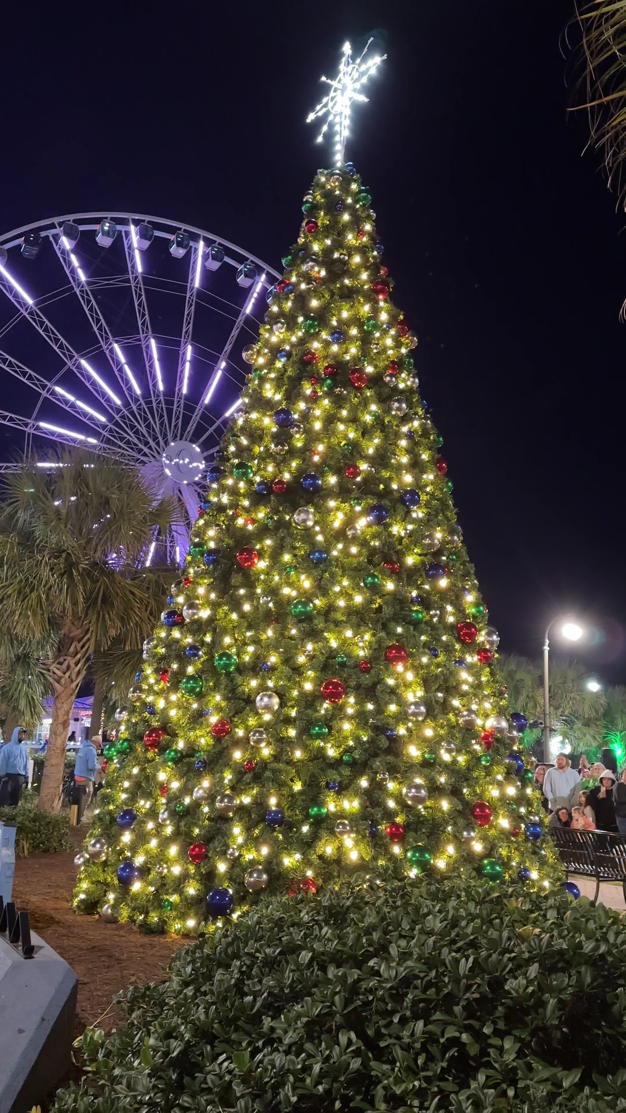Myrtle Beach Boardwalk & Promenade
