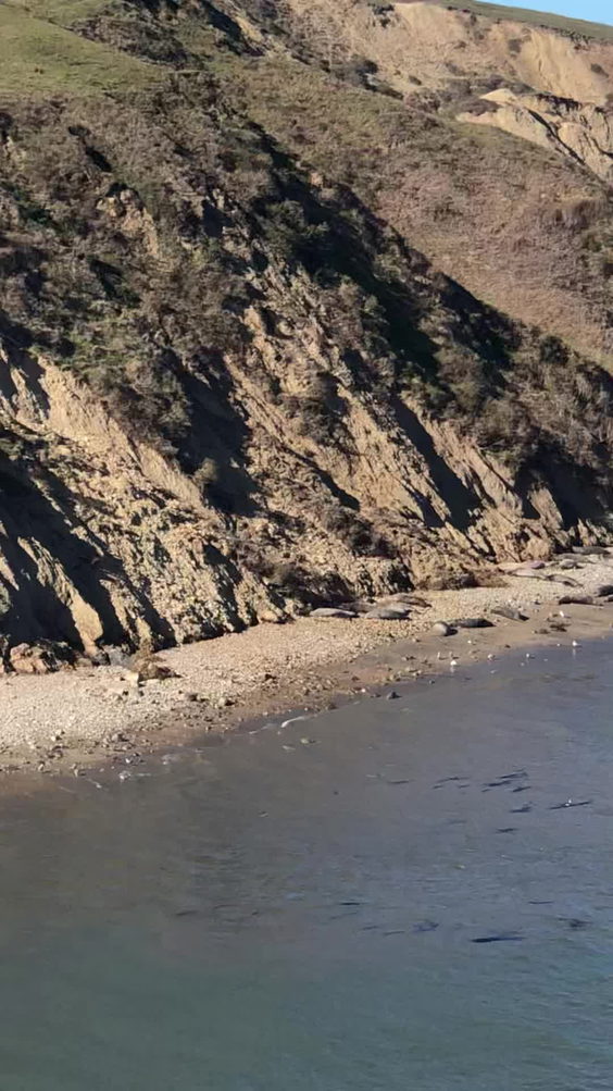 Point Reyes National Seashore