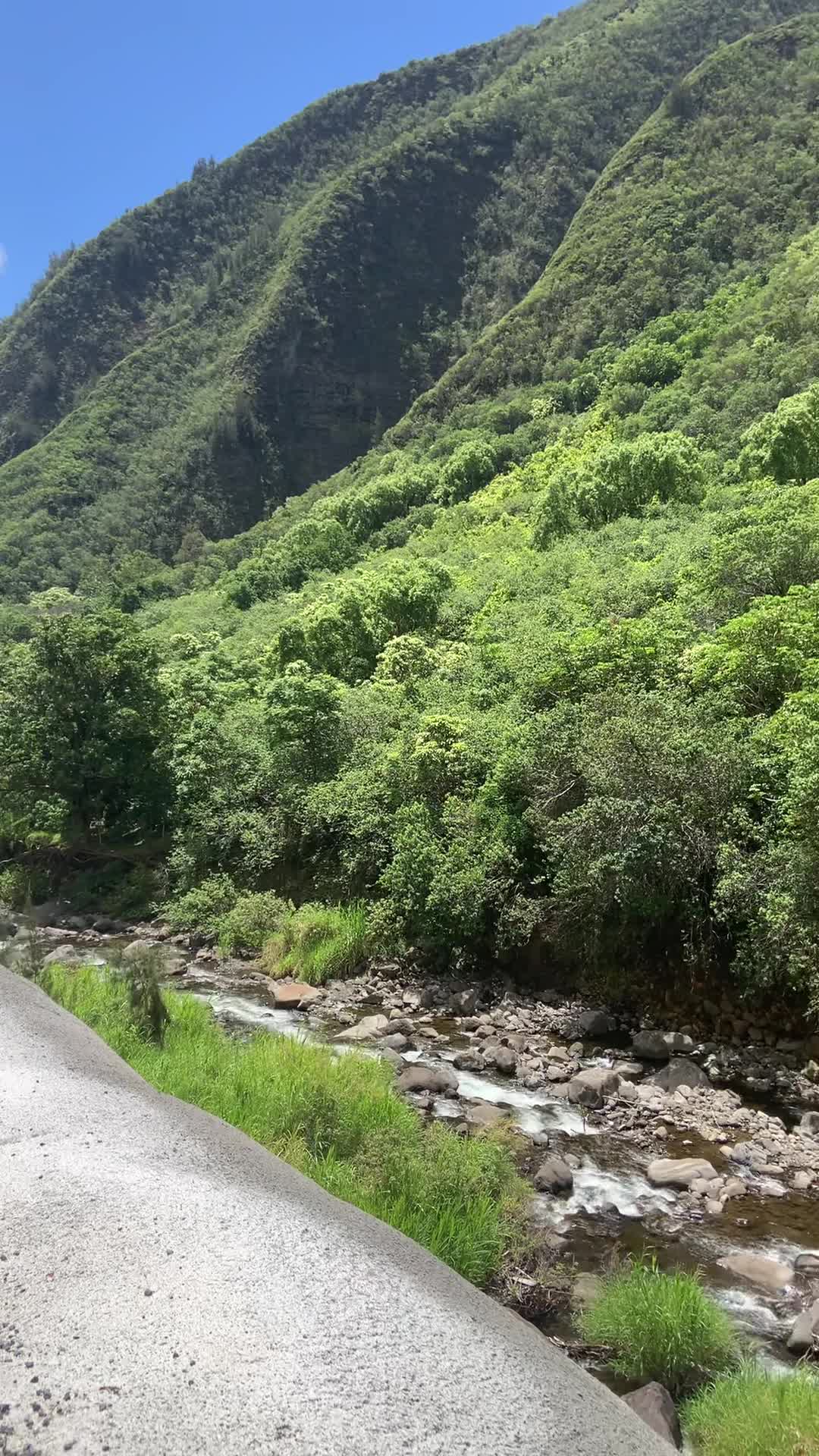 Iao Valley State Monument