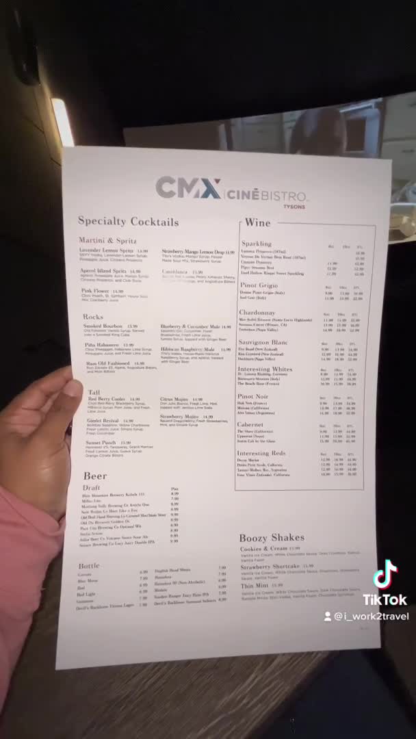 Video review of Tysons Galleria