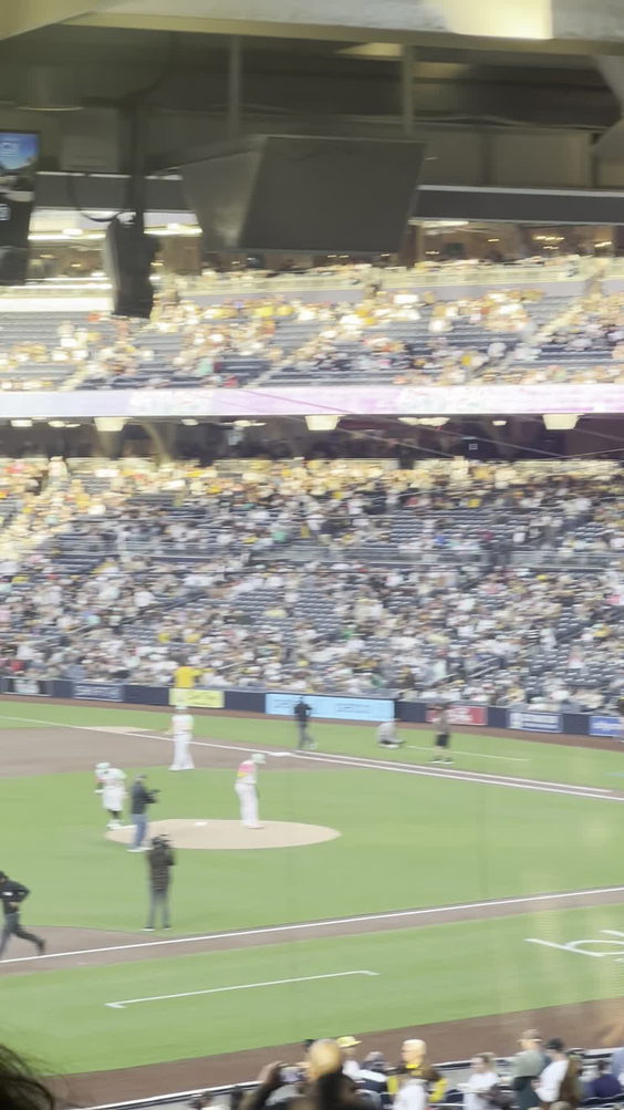 Petco Park Field VIP