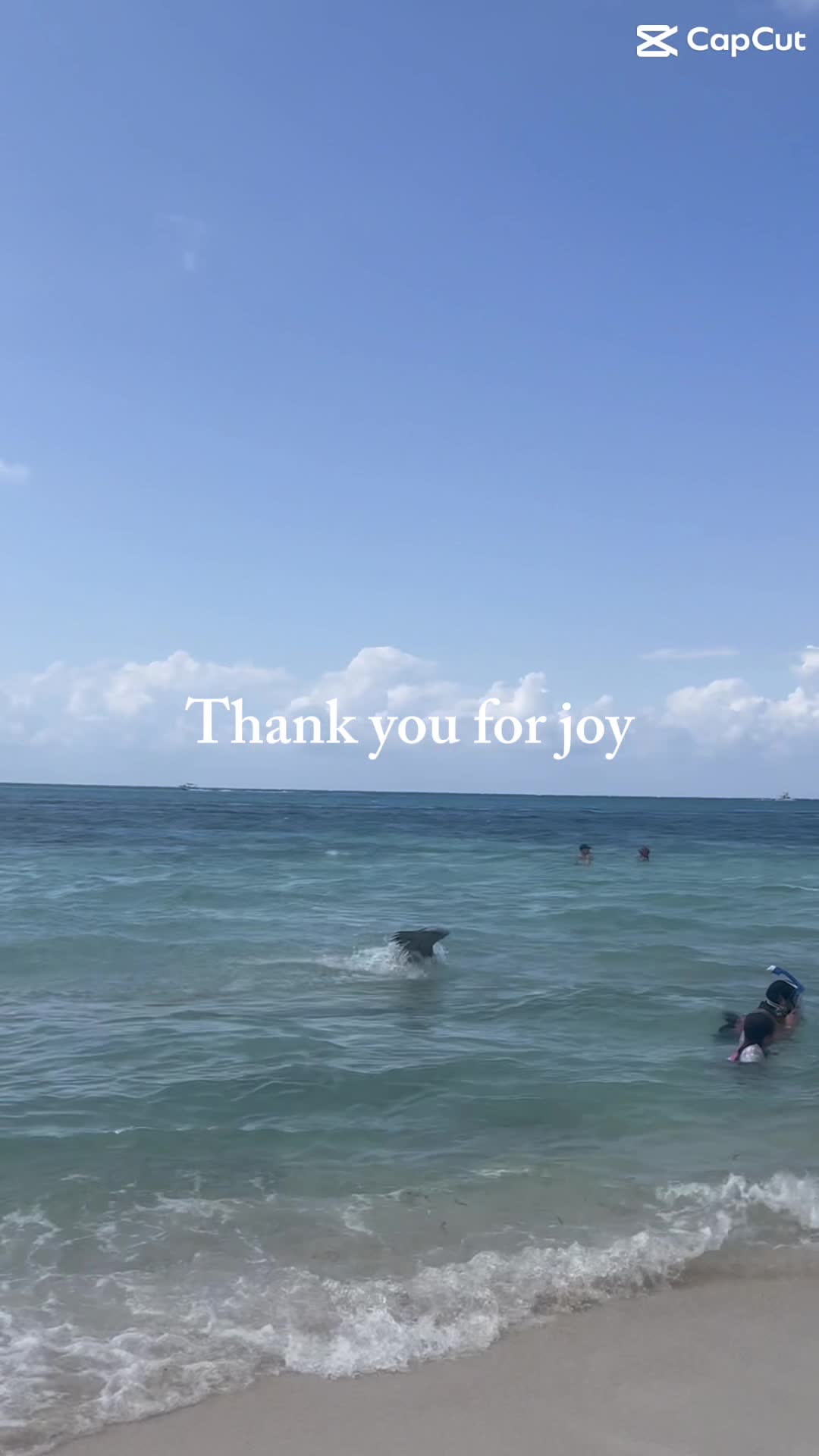 Mr. Sancho´s Beach Club