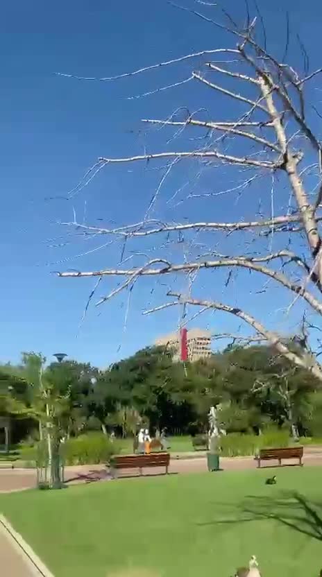 Company Garden's Restaurant