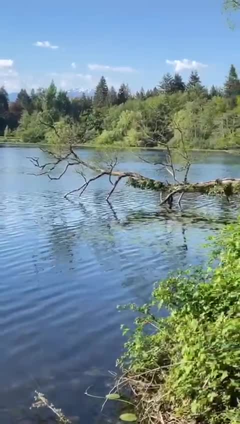 Deer Lake Park