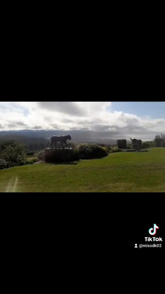 SKY VILLA BOUTIQUE HOTEL