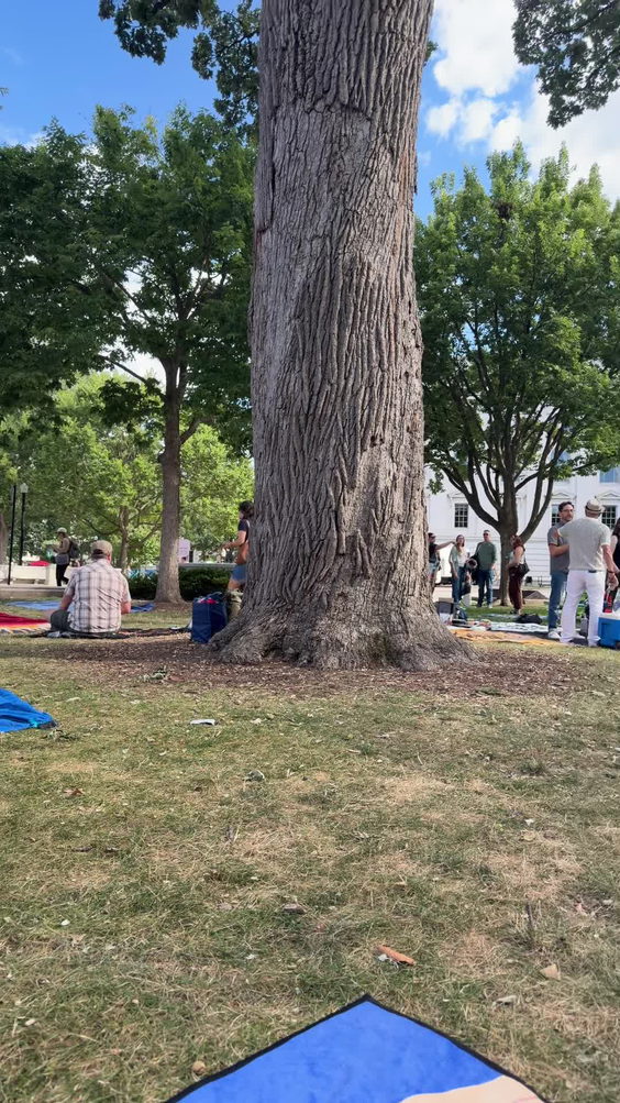 Wisconsin Chamber Orchestra Concert on the Square