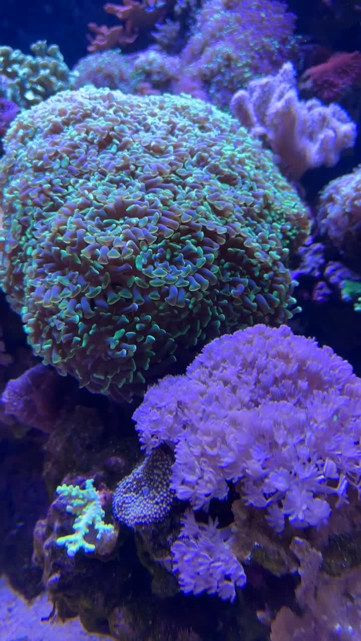 Oregon Coast Aquarium