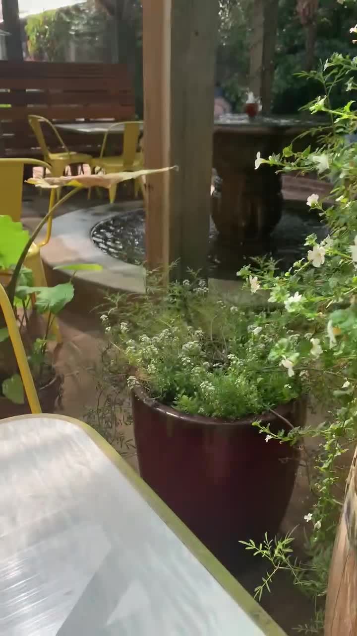 Sunflower Caffé Espresso & Wine