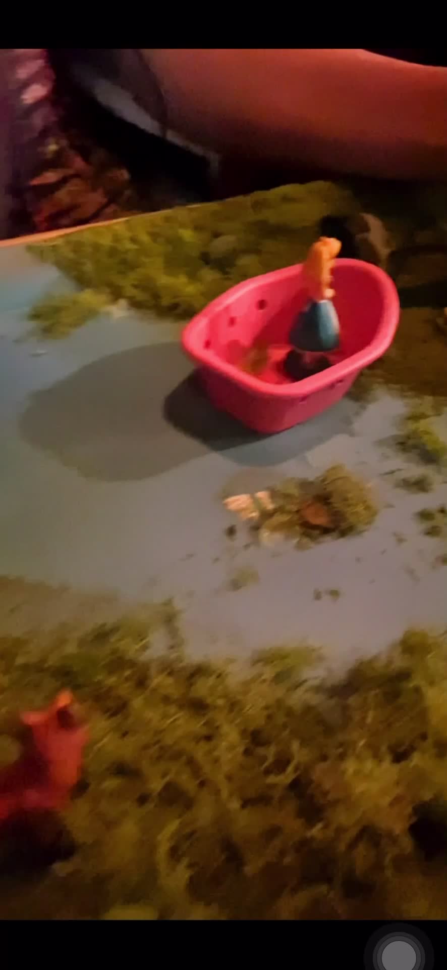 The Alice Cocktail Experience bar