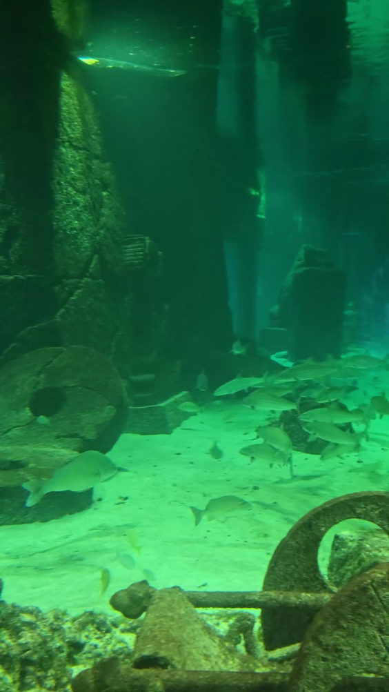 Atlantis Paradise Island