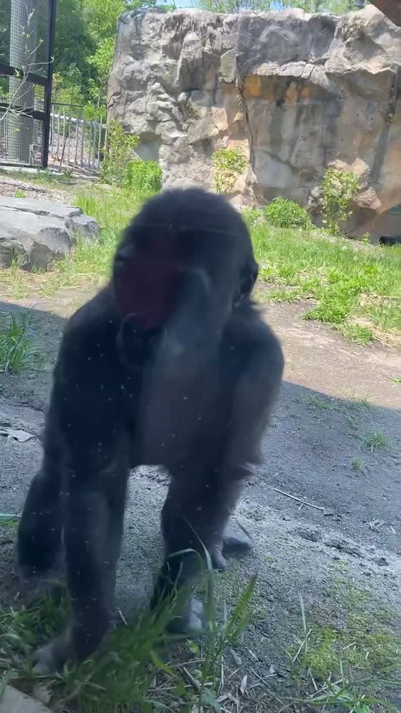 Franklin Park Zoo