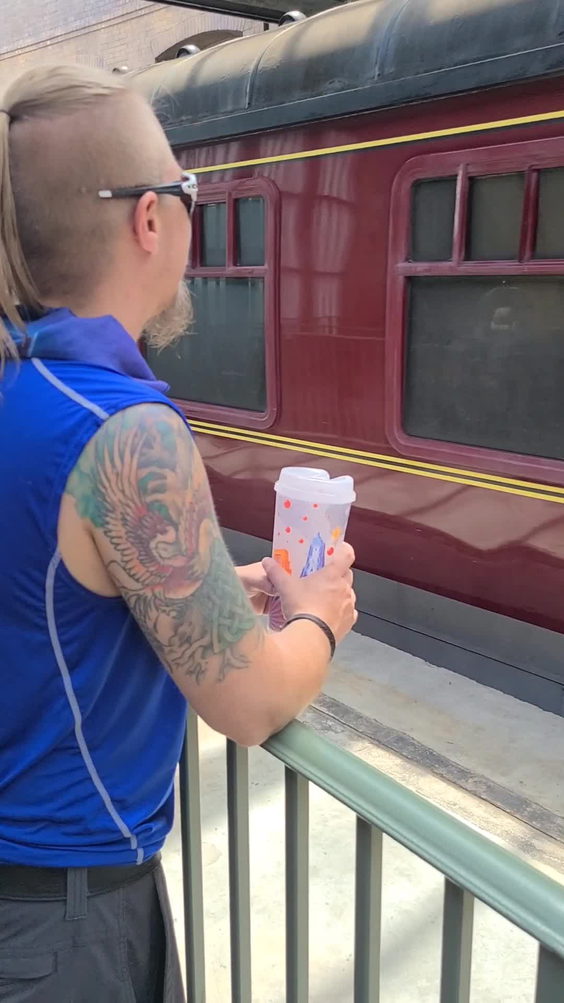 Hogwarts Express – Hogsmeade Station