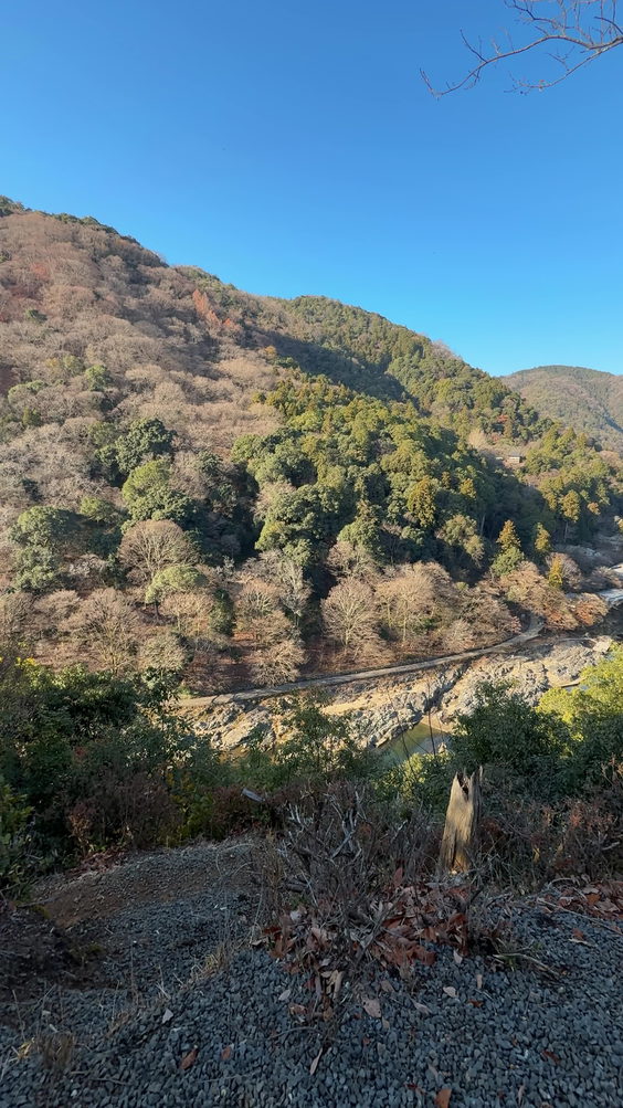 Arashiyama Bamboo Forest