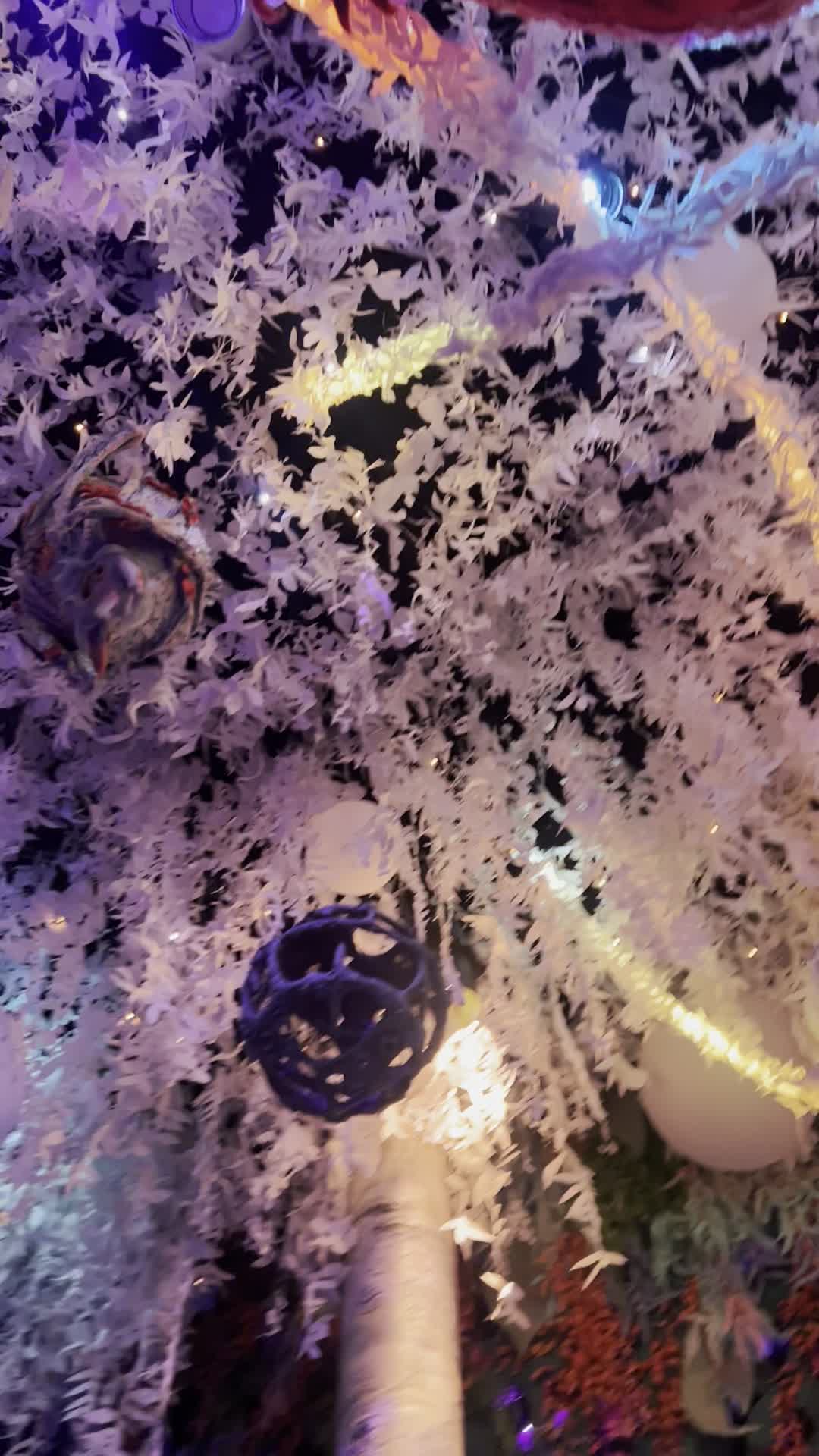 Meow Wolf Grapevine | The Real Unreal