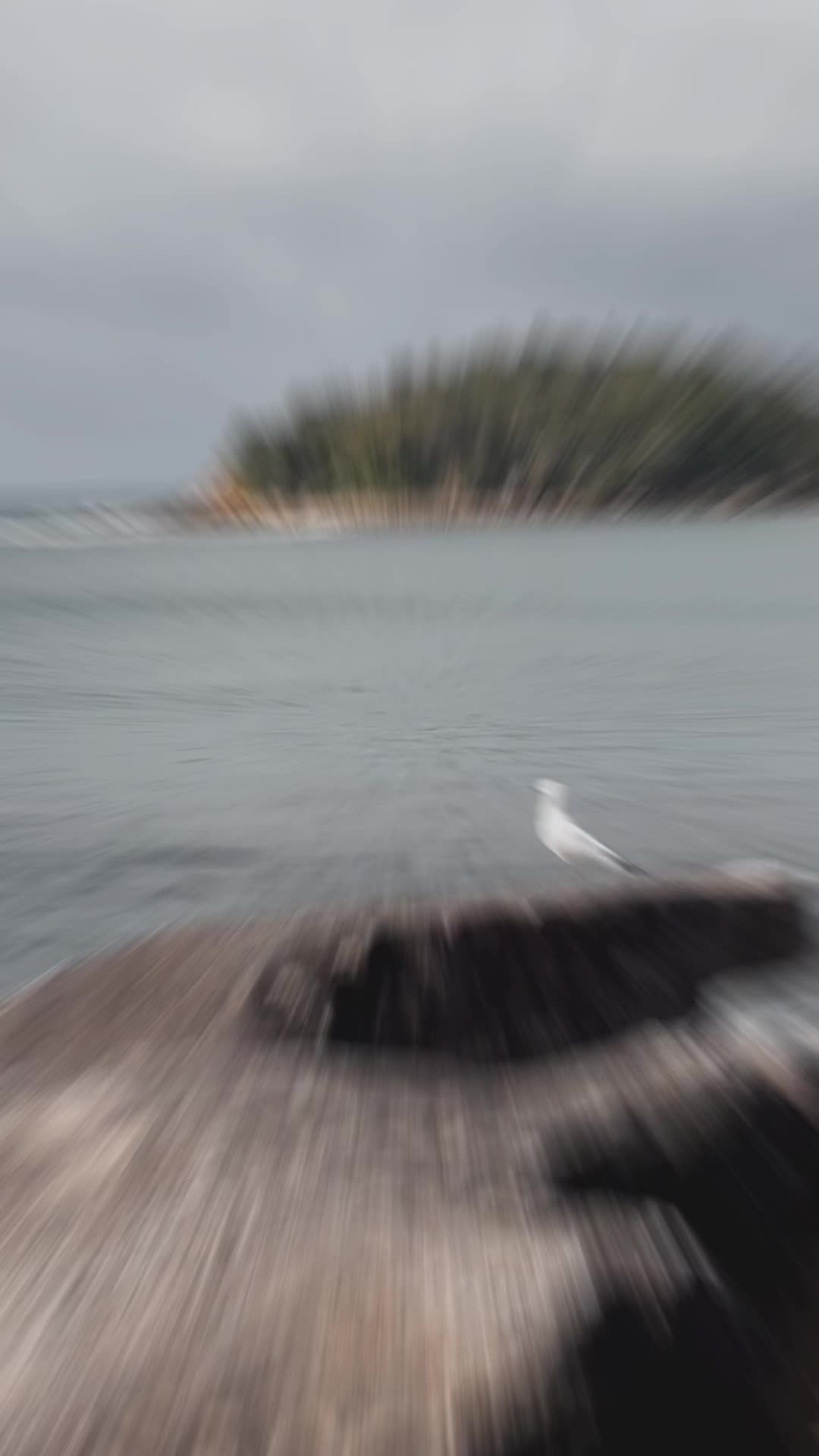 Video review of Manly Beach