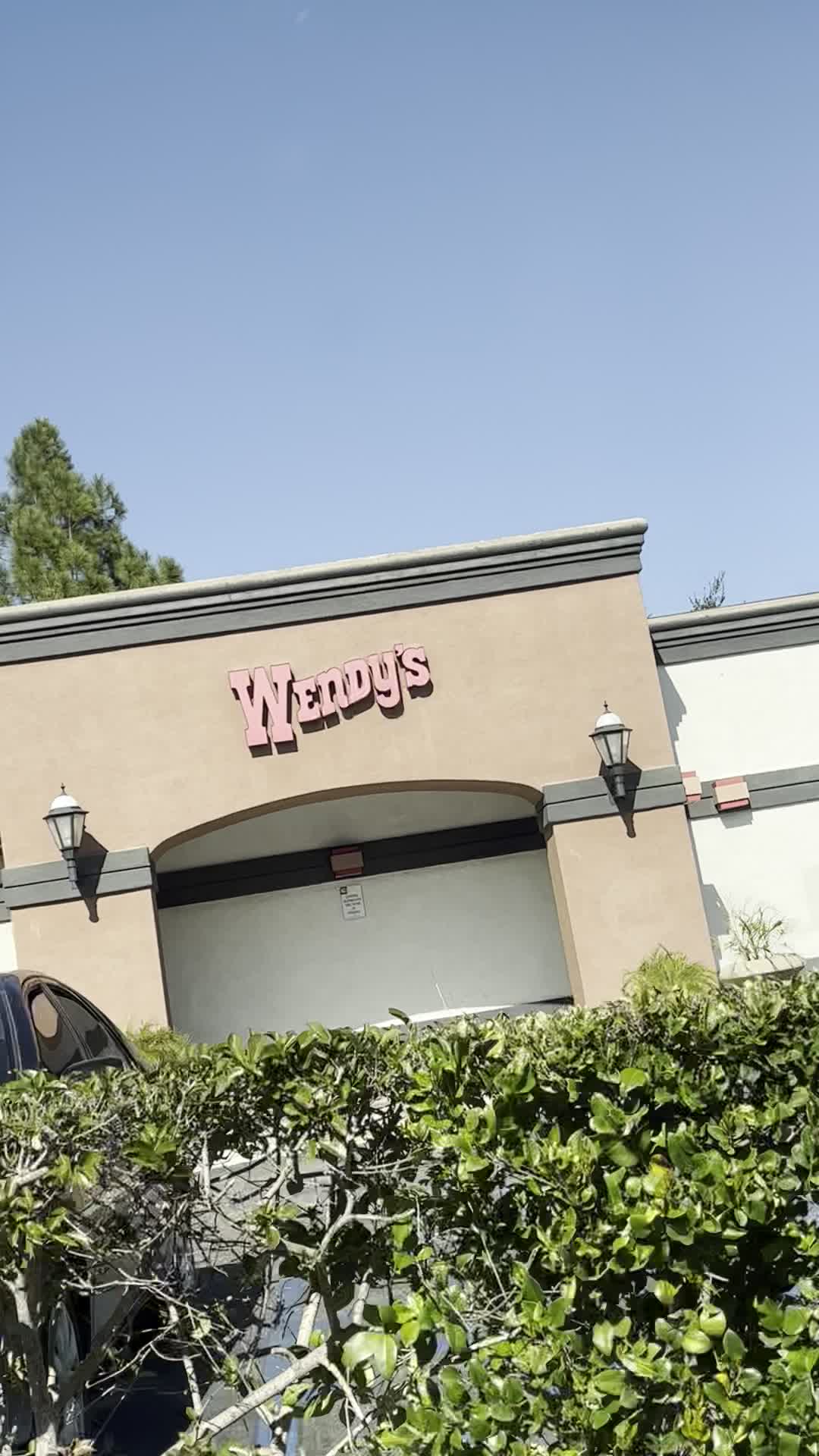 Video review of Wendy's