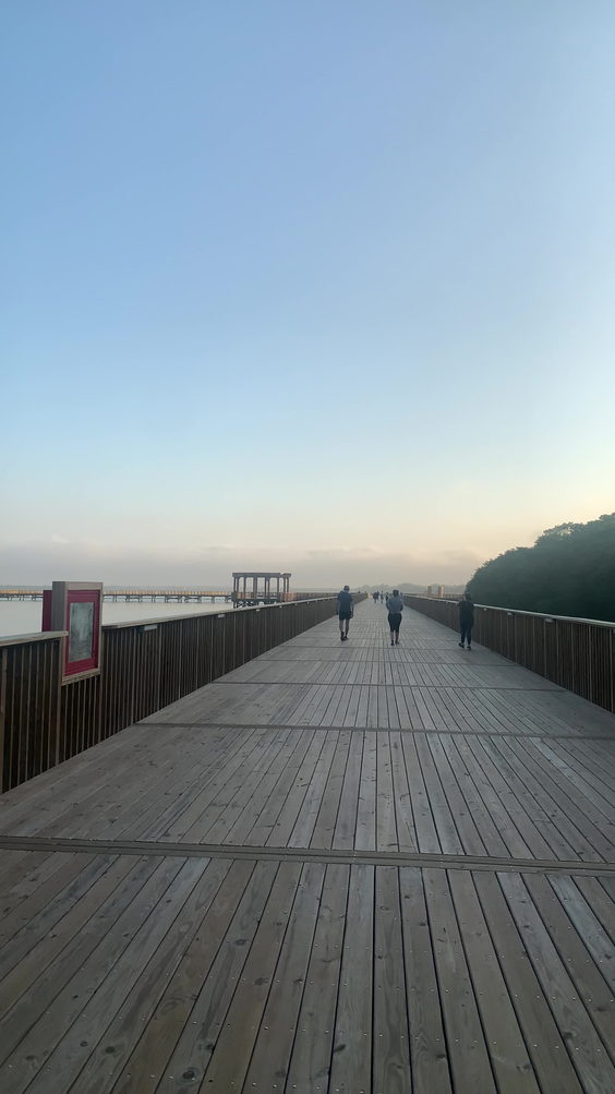 Cienaga de Mallorquin