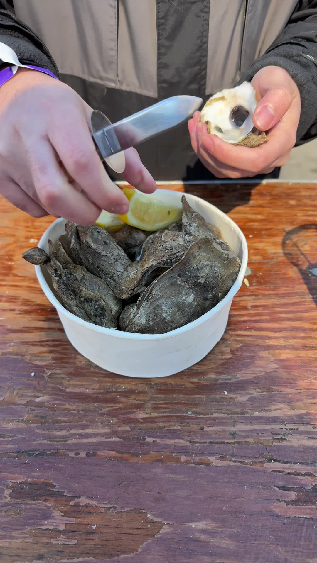 Oyster Fest