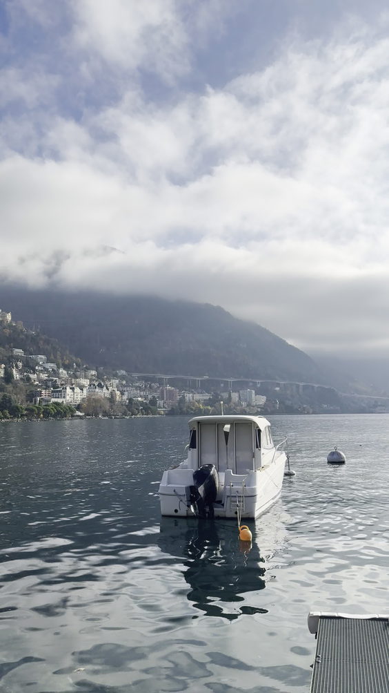 Bon-Port Hotel Montreux