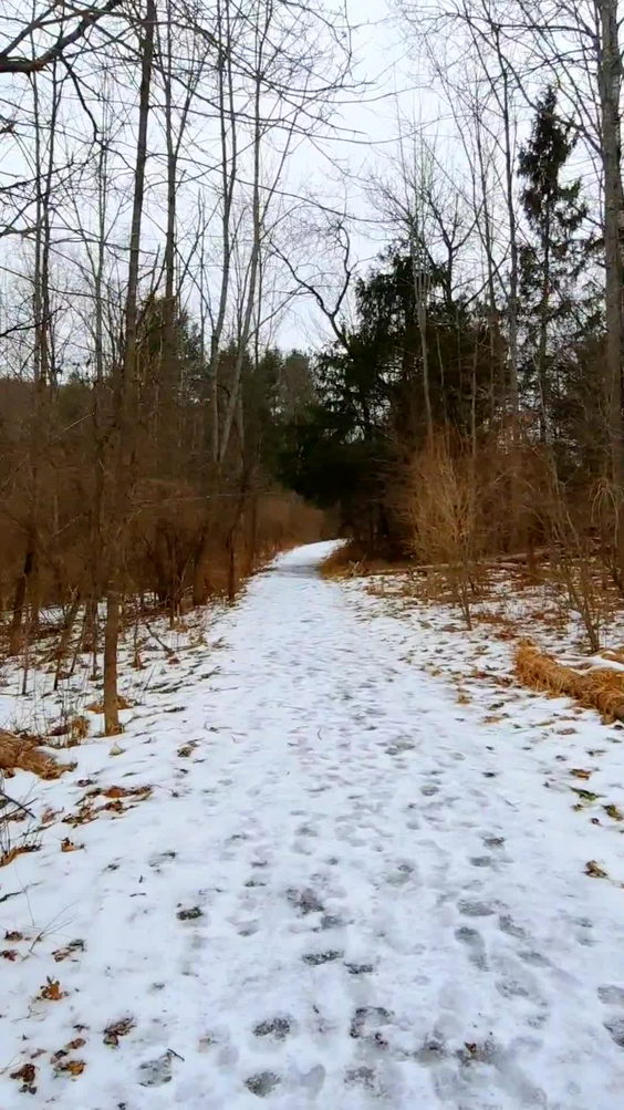 Nature Preserve