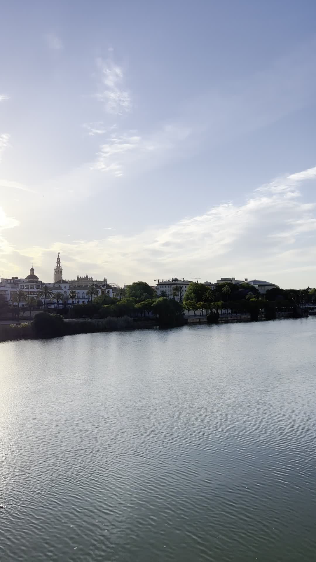 Isabel II Bridge 'Triana Bridge' (Puente de Isabel II  'Puente de Triana')