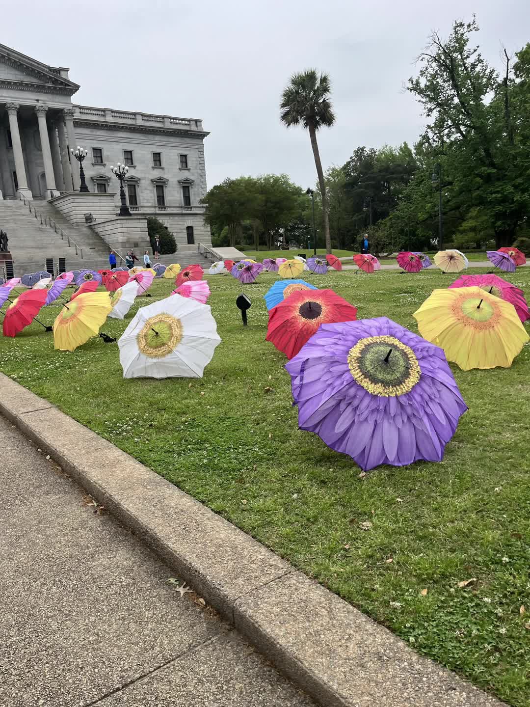 Video review of South Carolina State House
