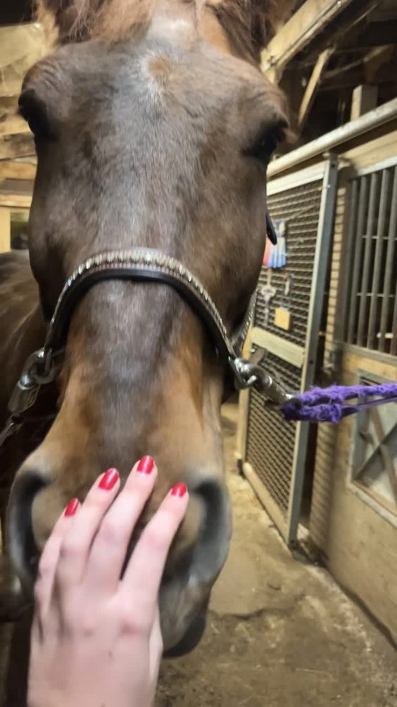 Bethel Park Stables
