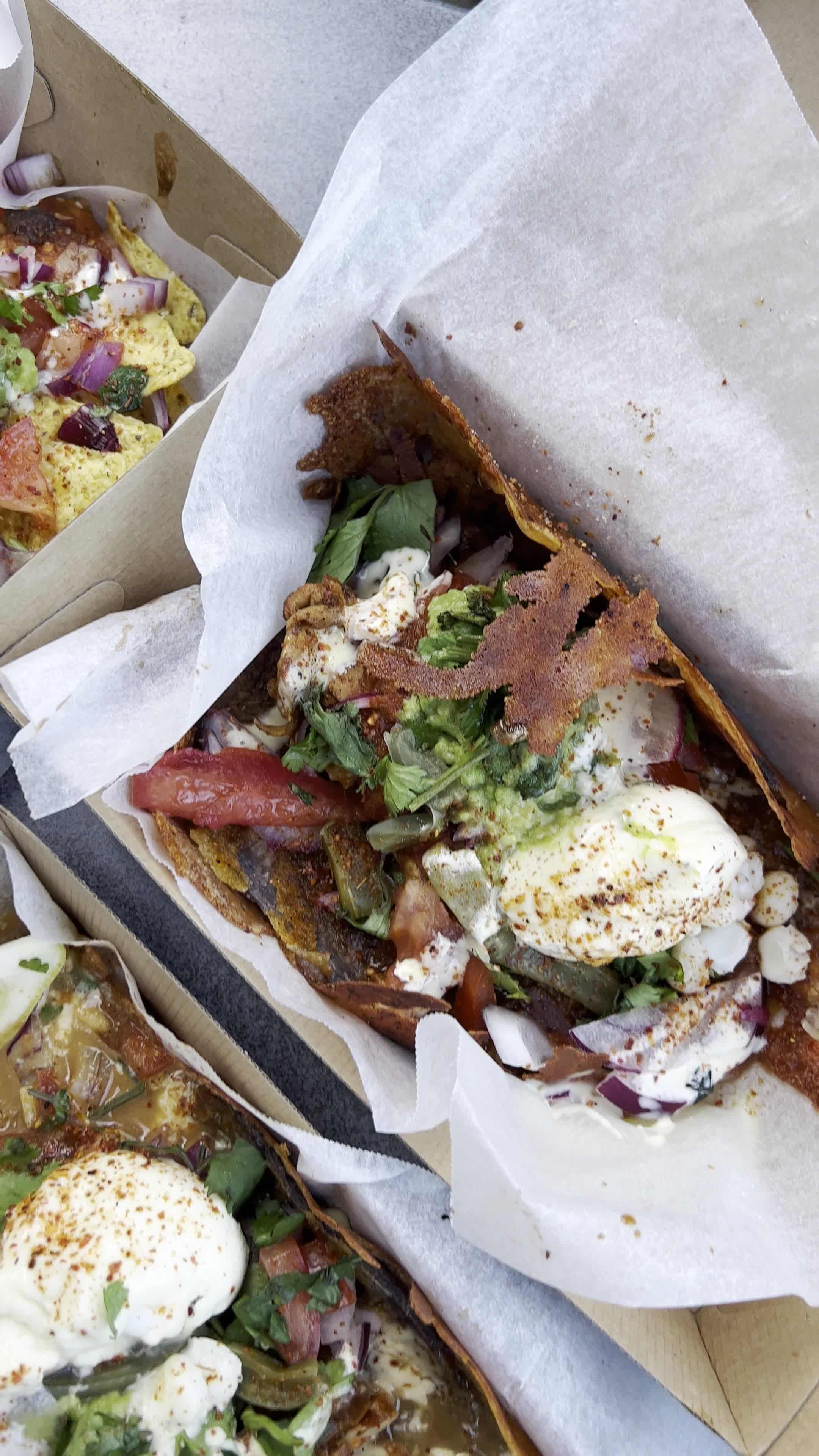 Taco Vida