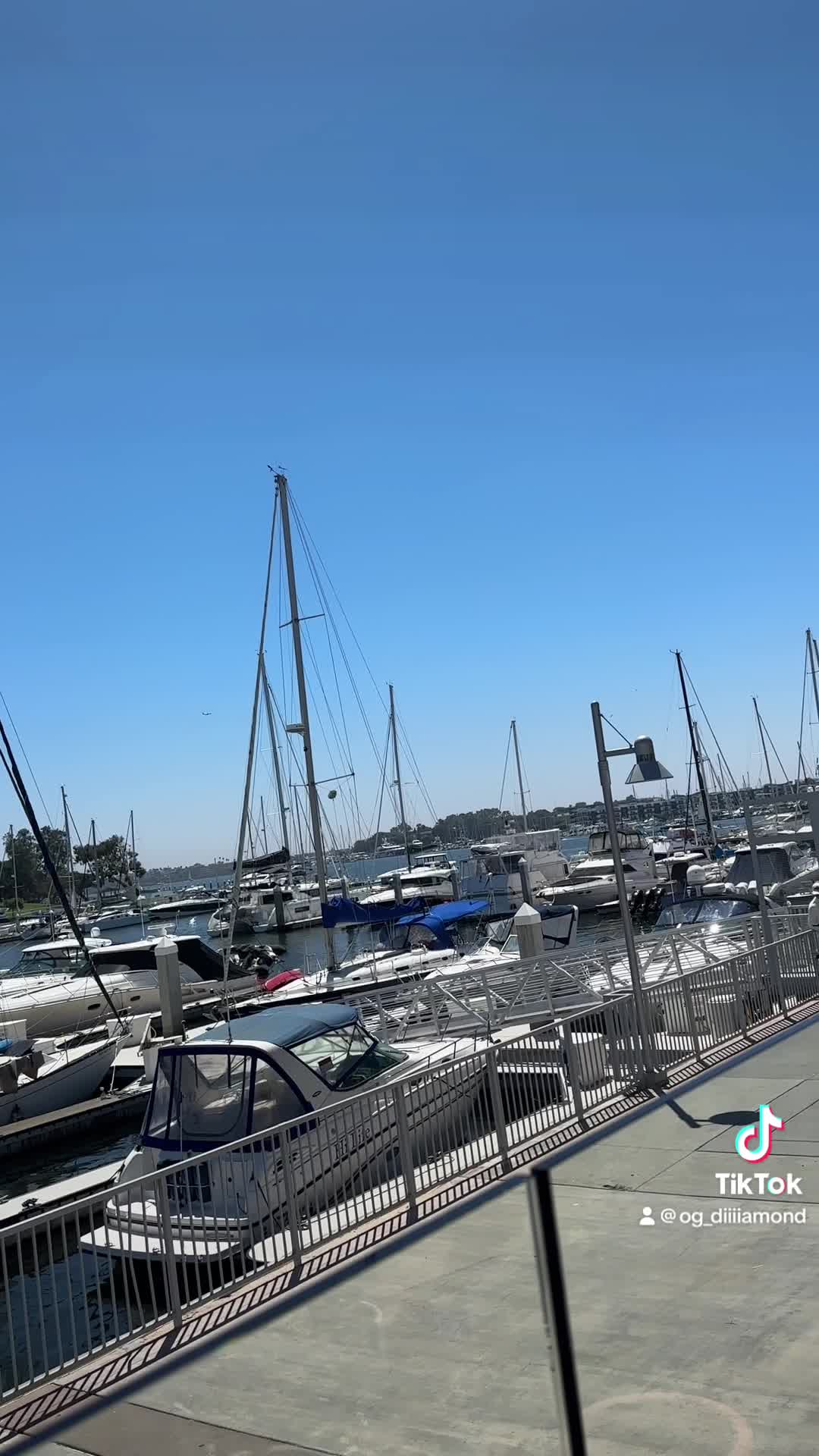Video review of Marina del Rey Hotel