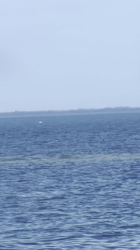 St Pete