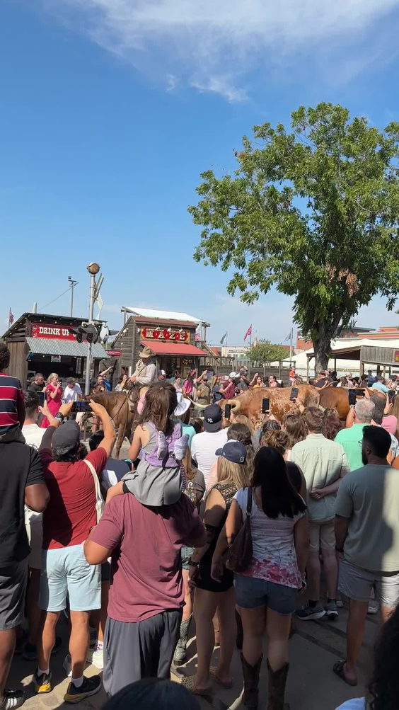 Stockyards Station