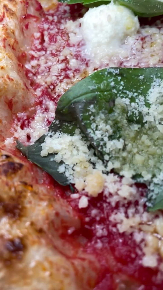 The Onion Tree Pizza Co.