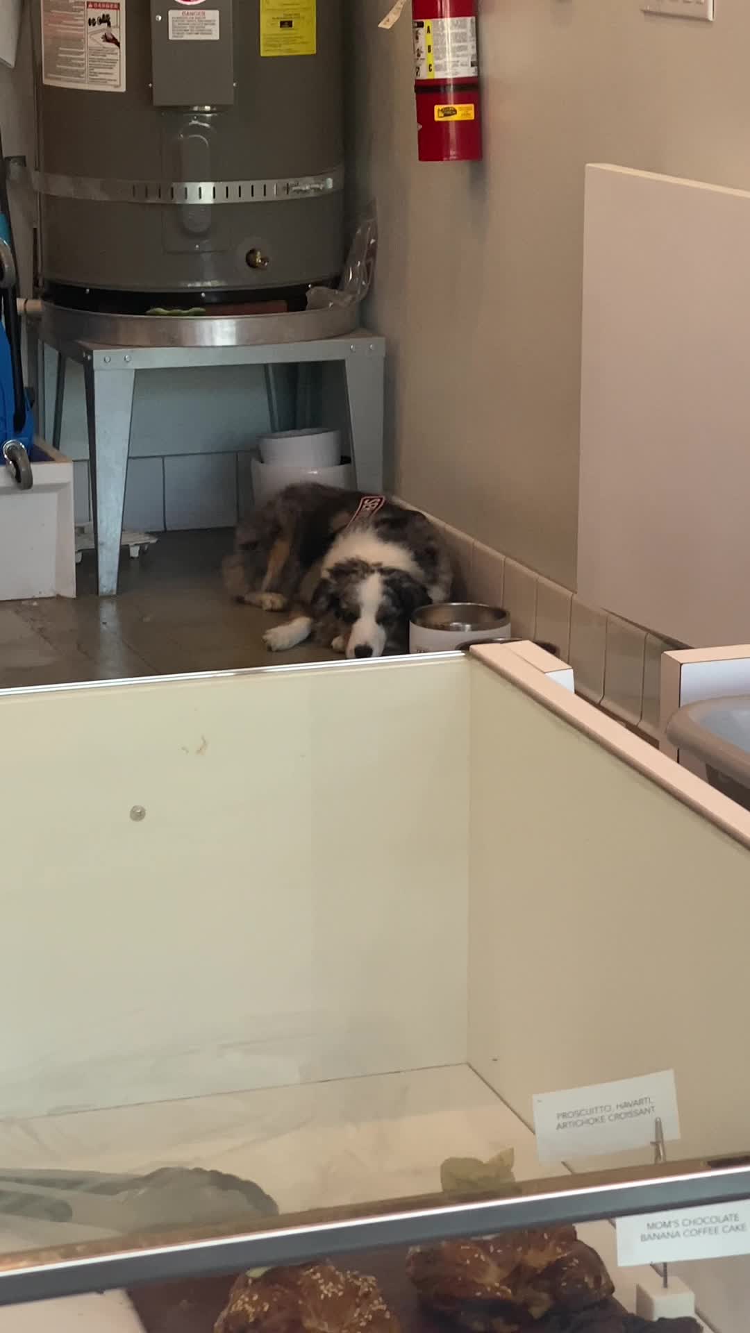 rvrnt-reverent coffee bar