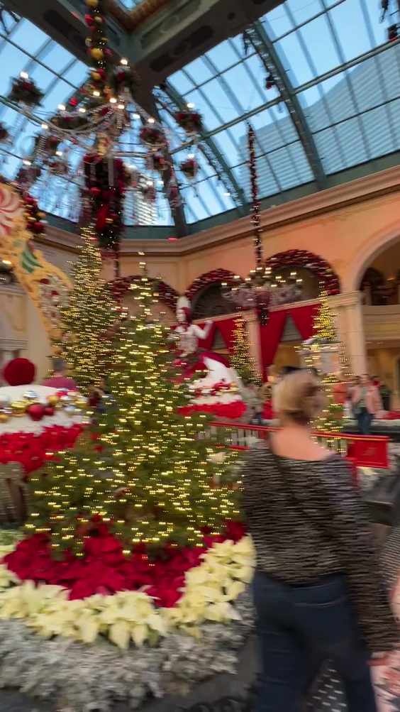 Bellagio Conservatory & Botanical Gardens