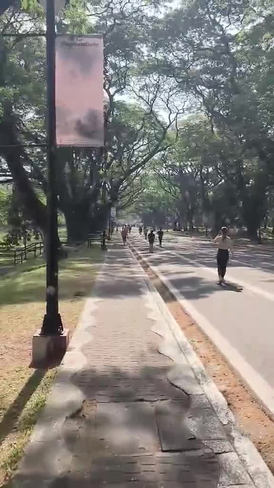 UP Diliman