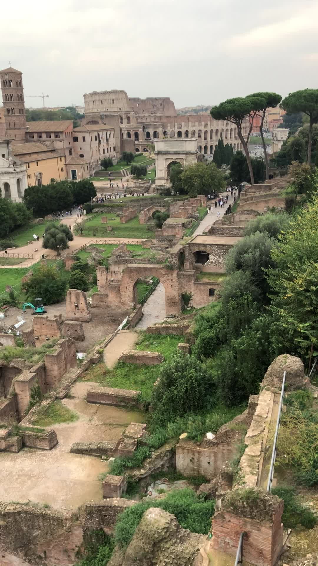 Vatican Museum Tickets & Tours