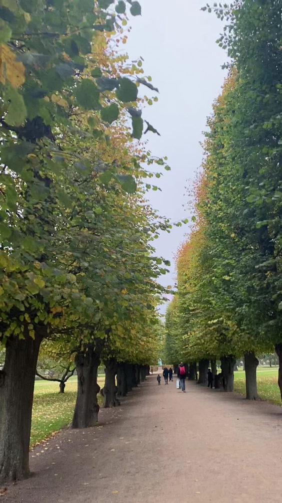 The King's Garden