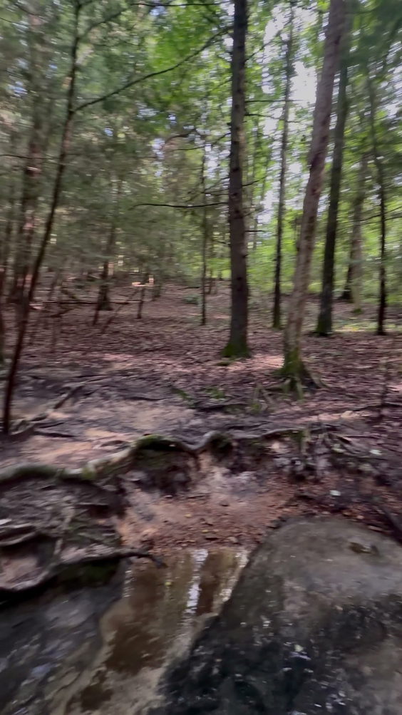 Conkle's Hollow State Nature Preserve